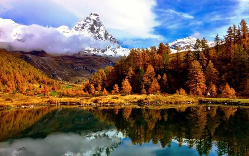 全自动高精度自动化